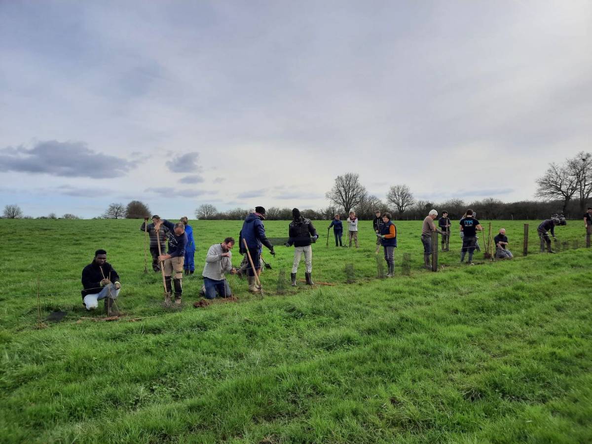 Préparation et plantation d'une haie